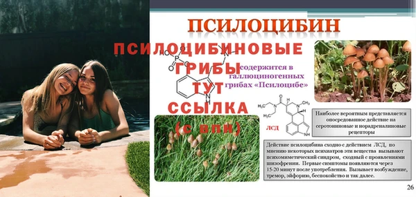 кокаин премиум Горно-Алтайск