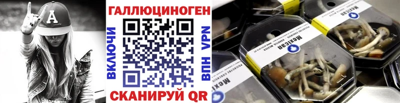 сайты даркнета наркотические препараты  Димитровград  Псилоцибиновые грибы MAGIC MUSHROOMS  как найти  